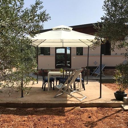 Il Moro - Casa Vacanze Terrasini Ngoại thất bức ảnh