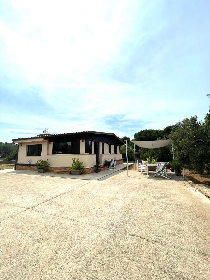 Il Moro - Casa Vacanze Terrasini Ngoại thất bức ảnh
