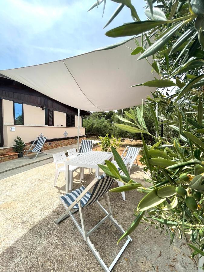 Il Moro - Casa Vacanze Terrasini Ngoại thất bức ảnh